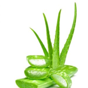 Babosa Orgânica - Unidade